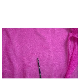 Pink Transparent Crewneck Long Sleeves Top