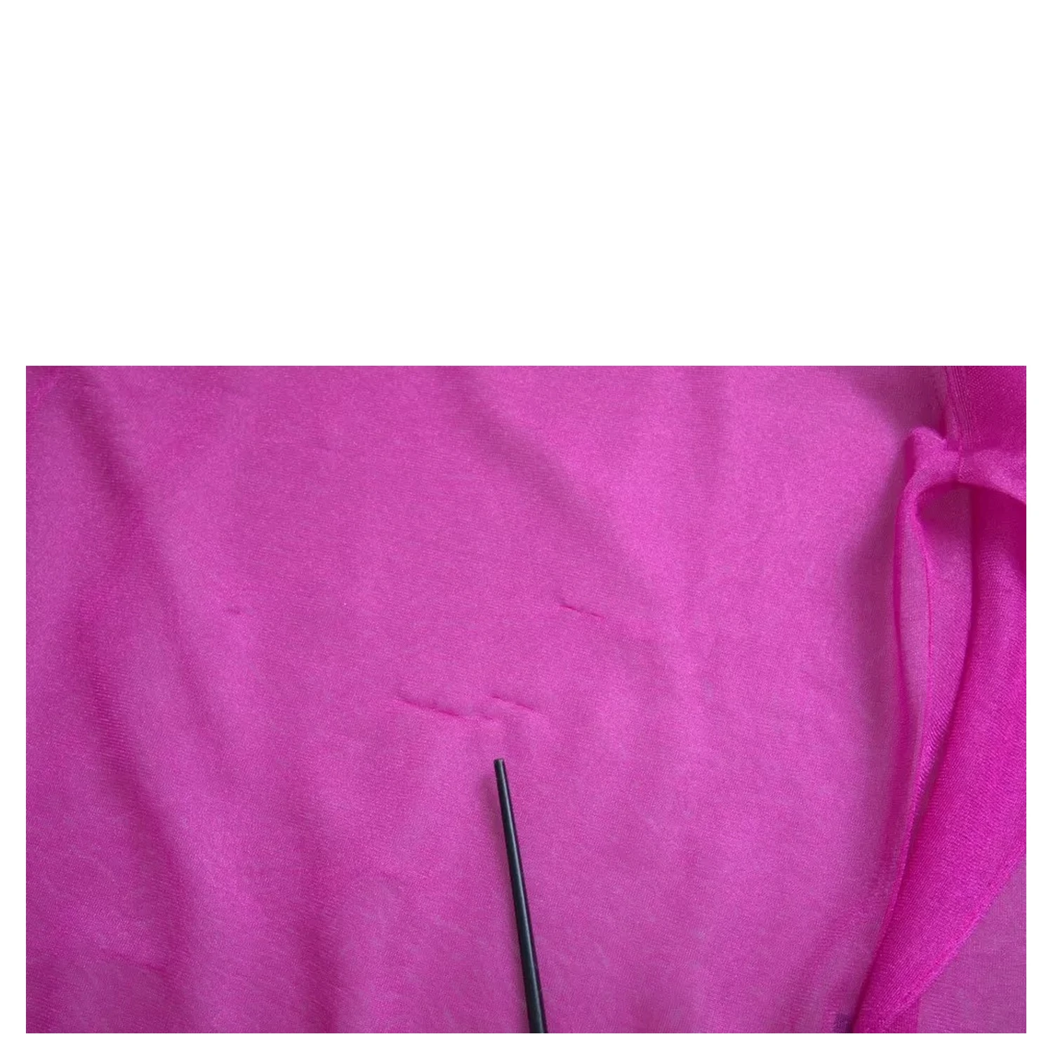 Pink Transparent Crewneck Long Sleeves Top