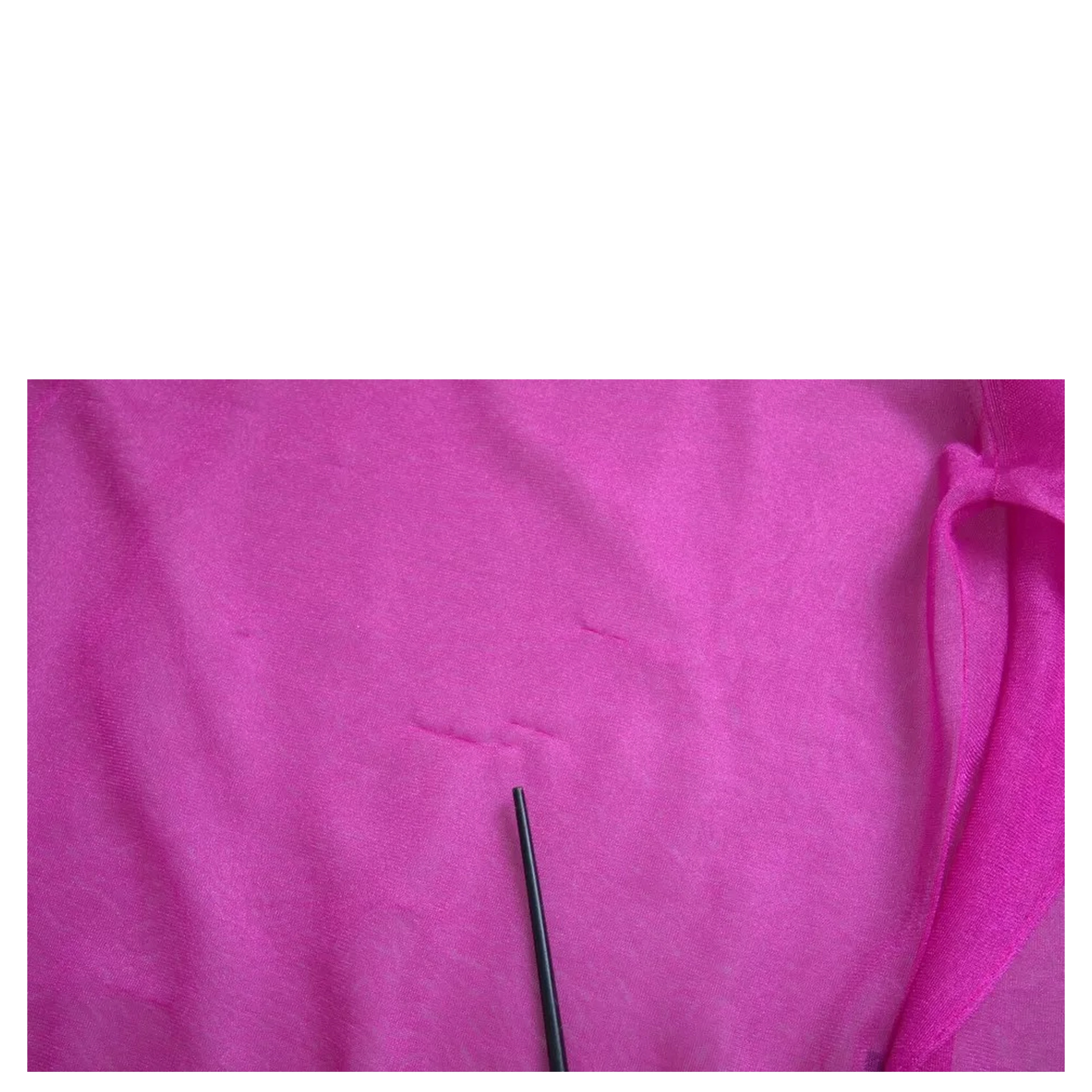 Pink Transparent Crewneck Long Sleeves Top