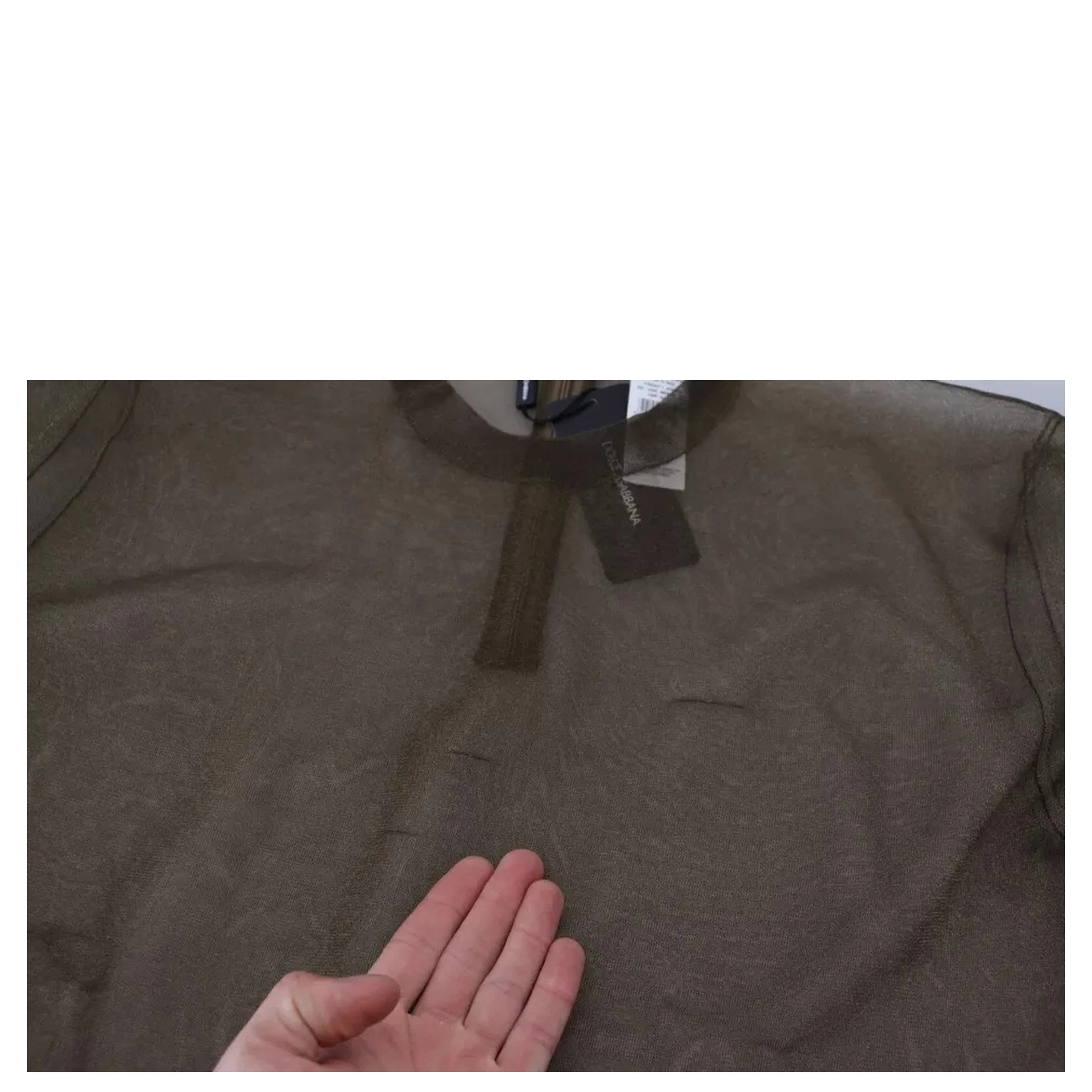 Black Transparent Crewneck Long Sleeves Top