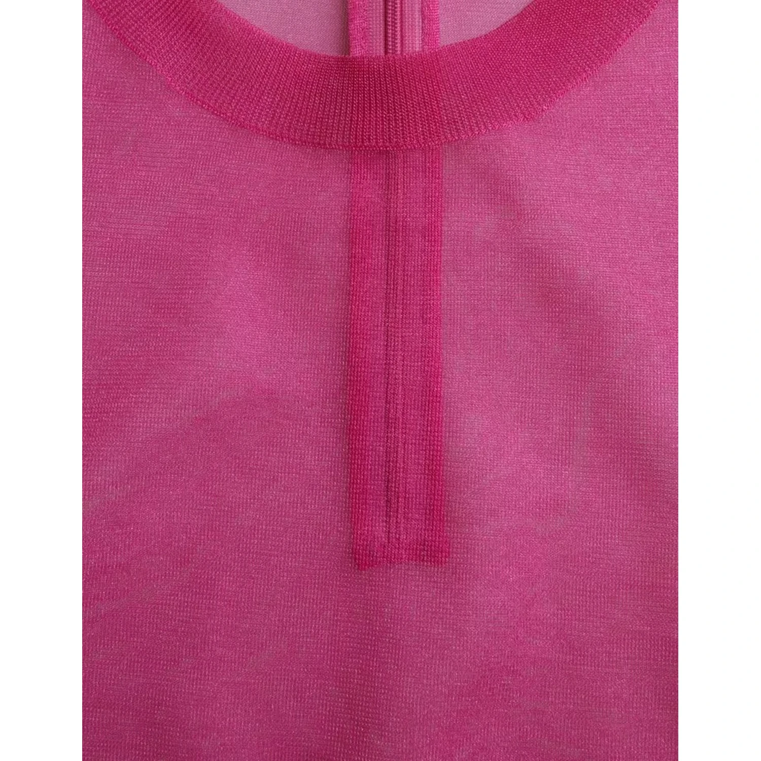 Pink Transparent Crewneck Long Sleeves Top