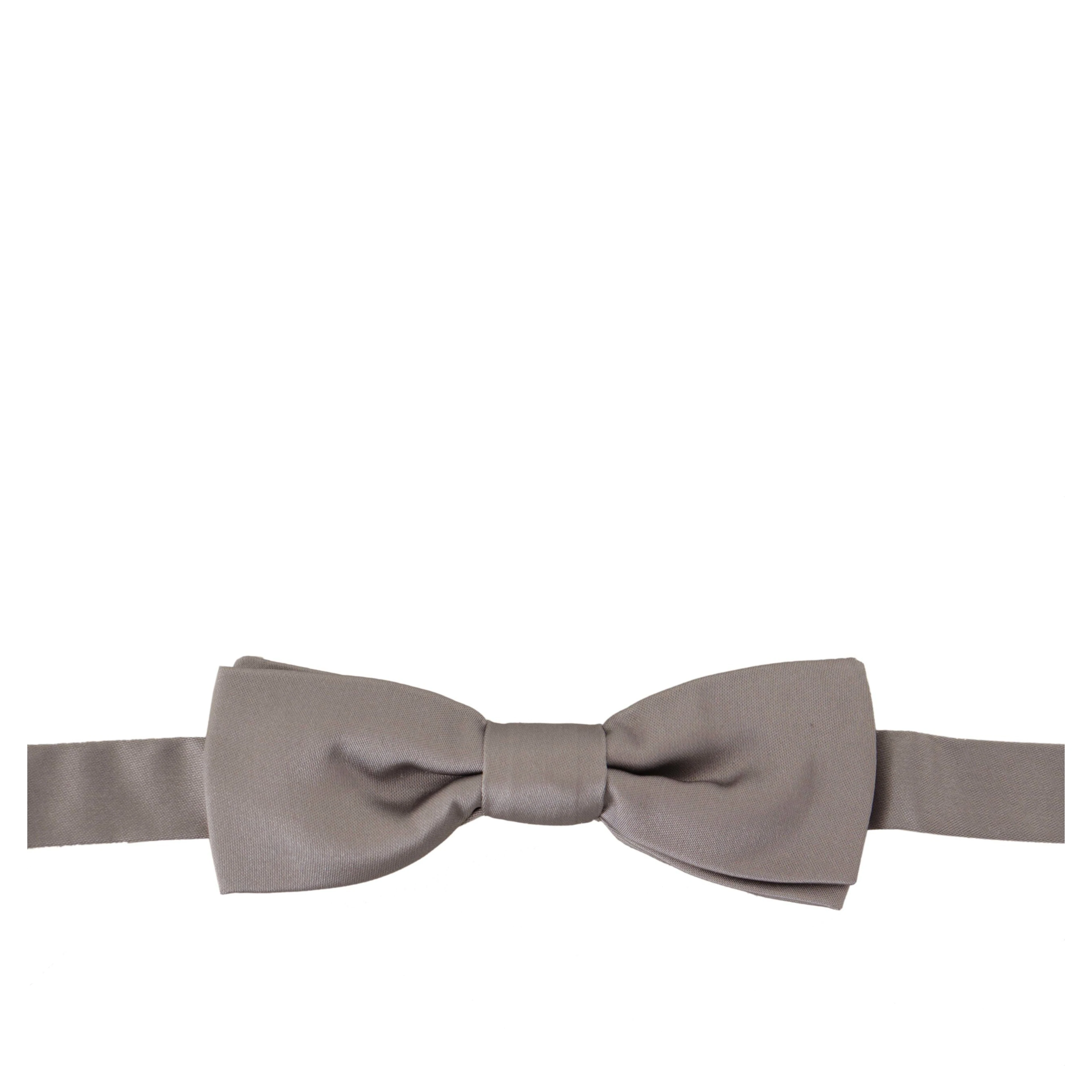 Silver 100% Silk Slim Adjustable Neck Papillon Tie