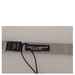 Silver 100% Silk Slim Adjustable Neck Papillon Tie