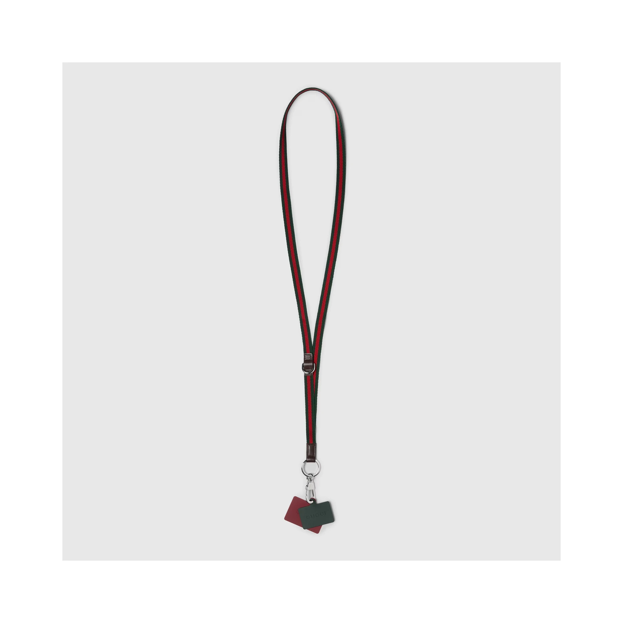 Lanyard phone holder with Web