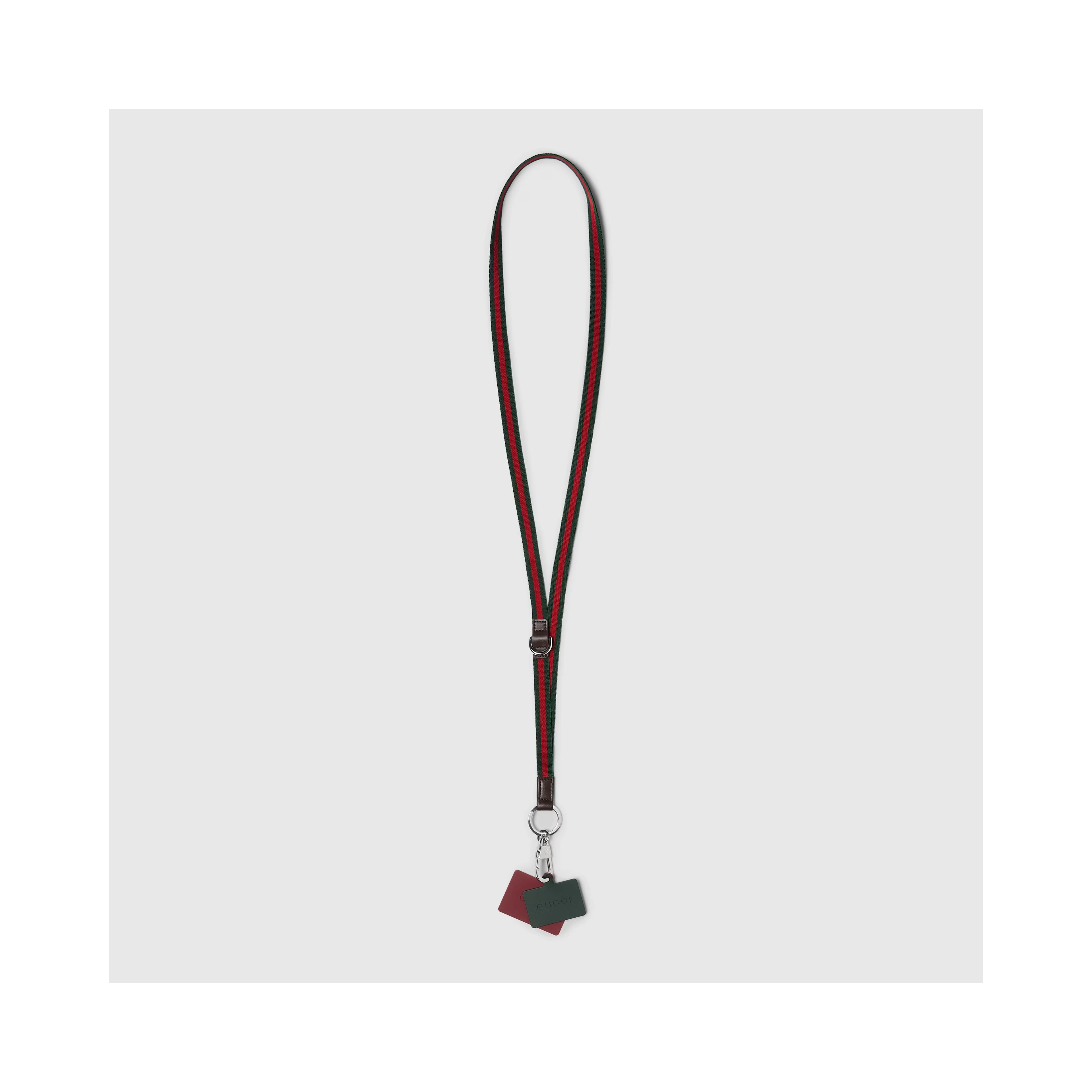 Lanyard phone holder with Web