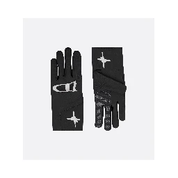 "Dior and Lewis Hamilton" ski gloves