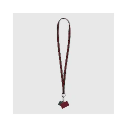 Lanyard phone holder with Web