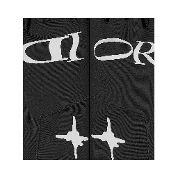 "Dior and Lewis Hamilton" ski gloves