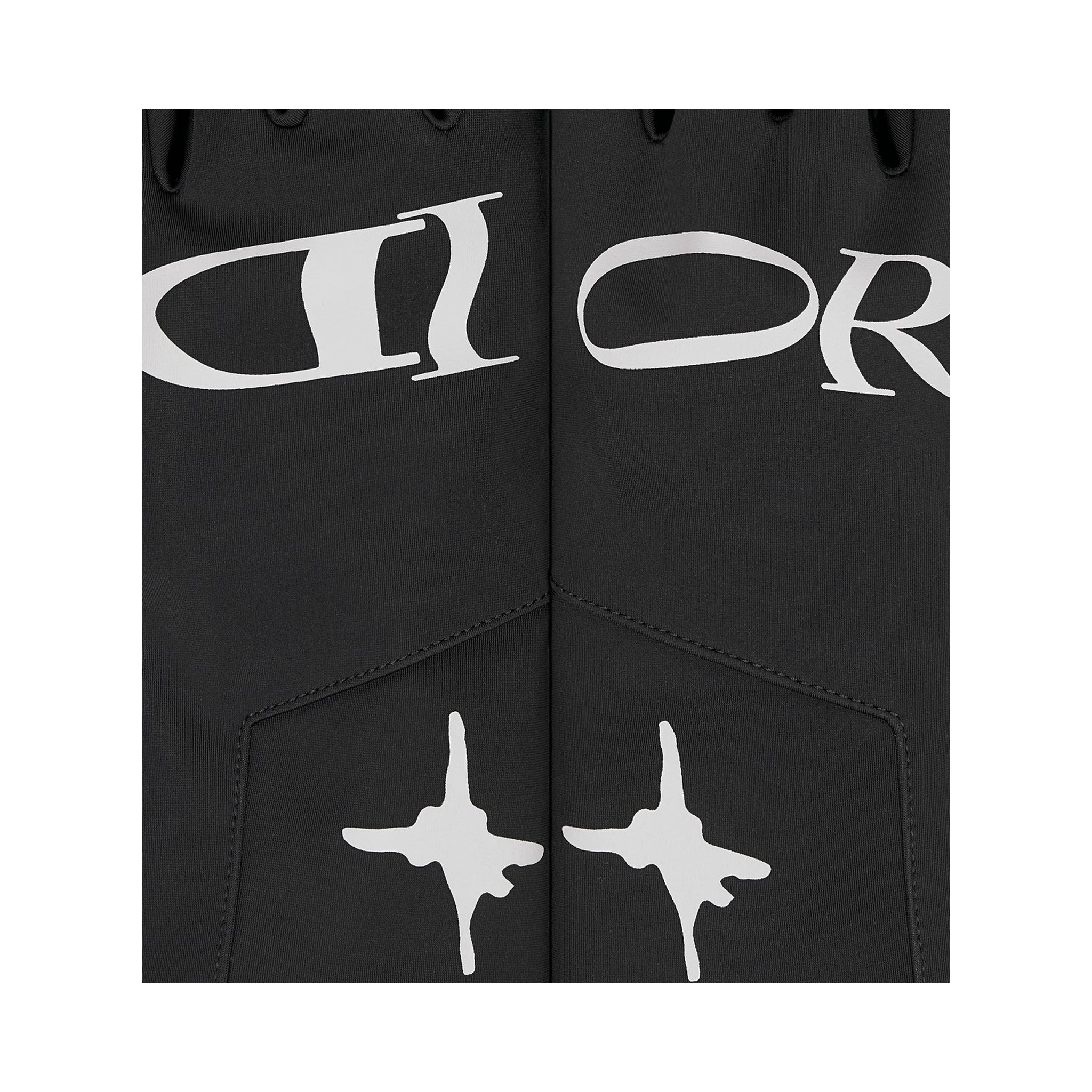 "Dior and Lewis Hamilton" ski gloves
