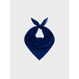 "Wispy" cashmere scarf