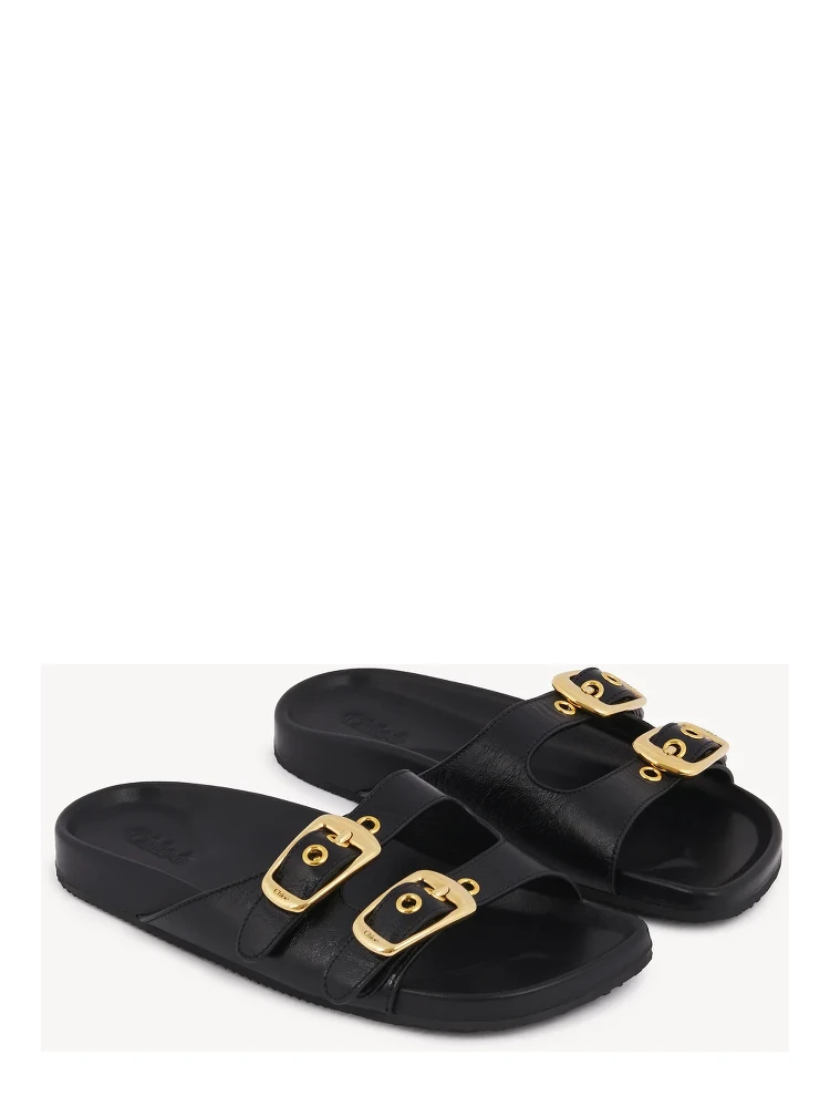 "Polly" slides alternative