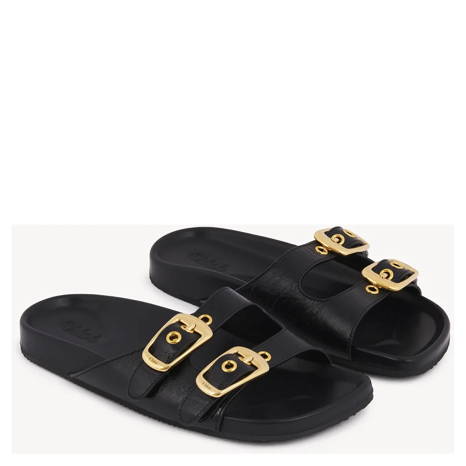 "Polly" slides