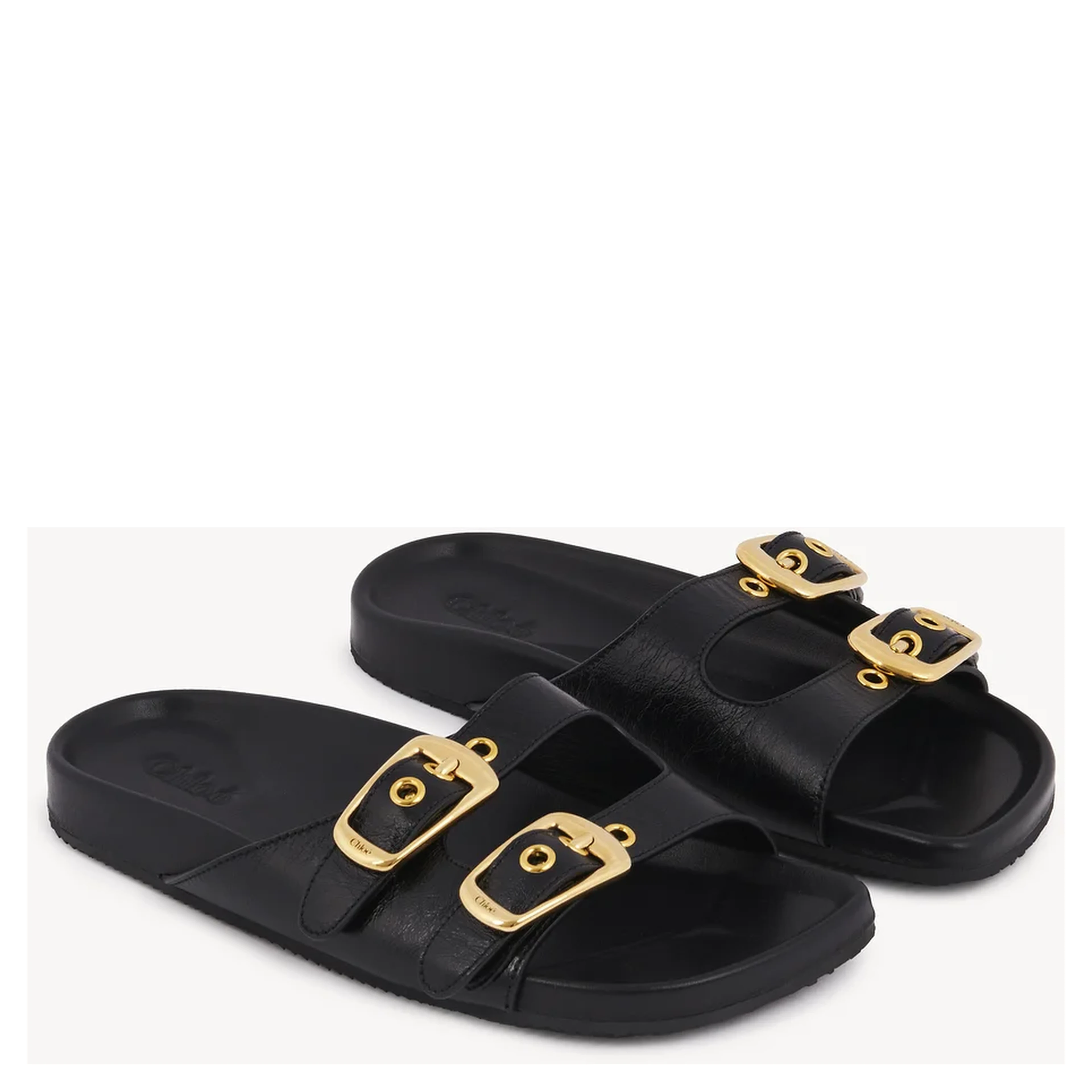 "Polly" slides