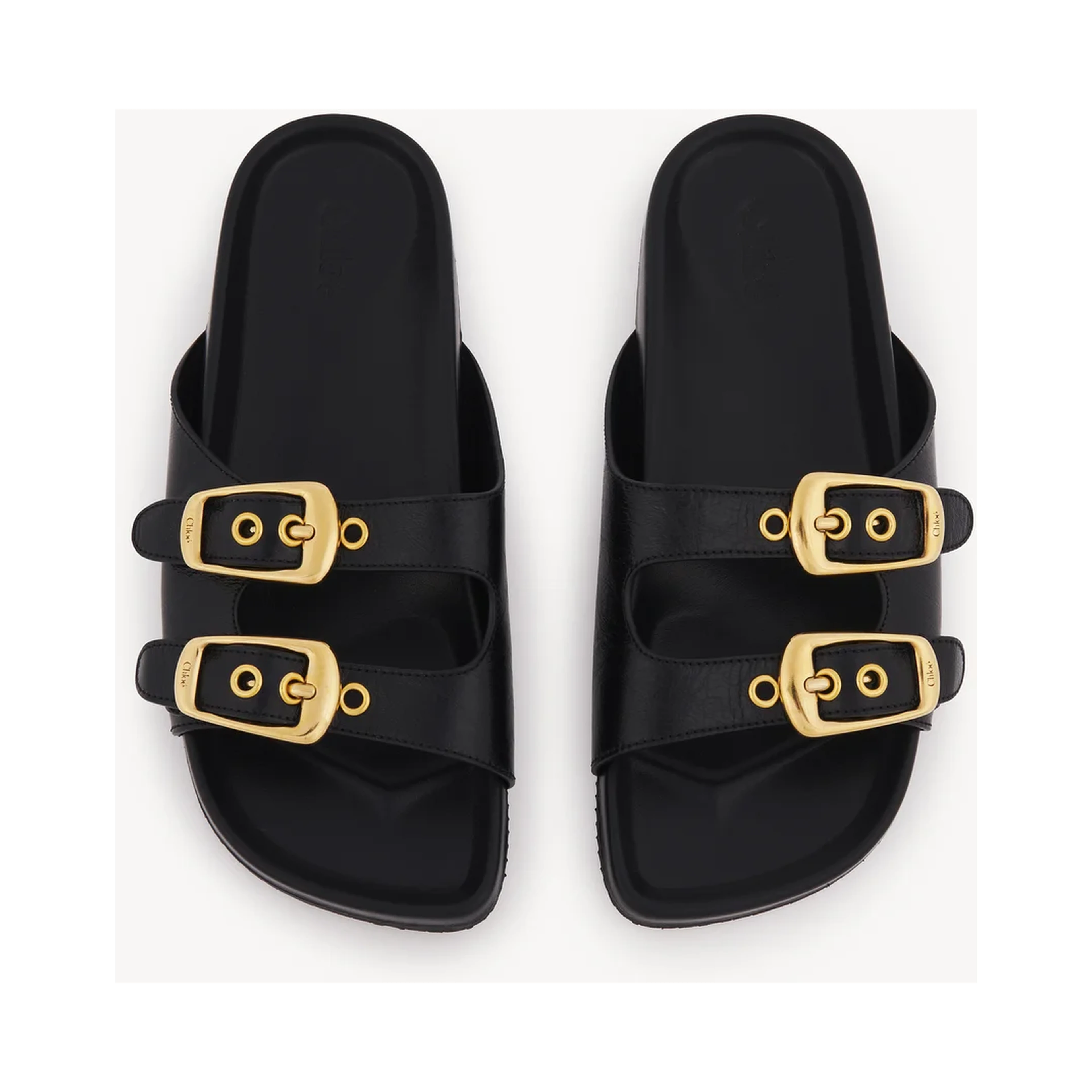 "Polly" slides