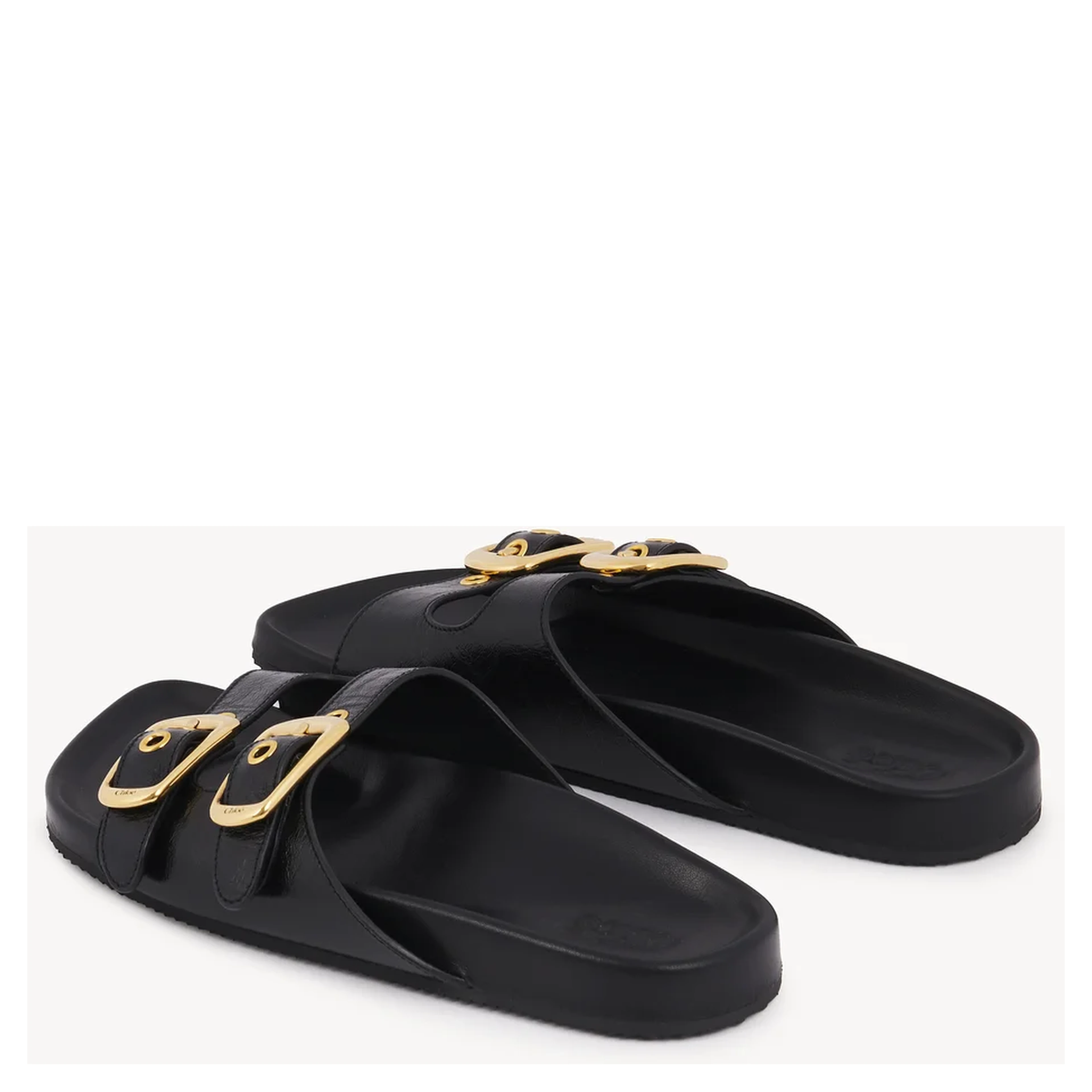 "Polly" slides
