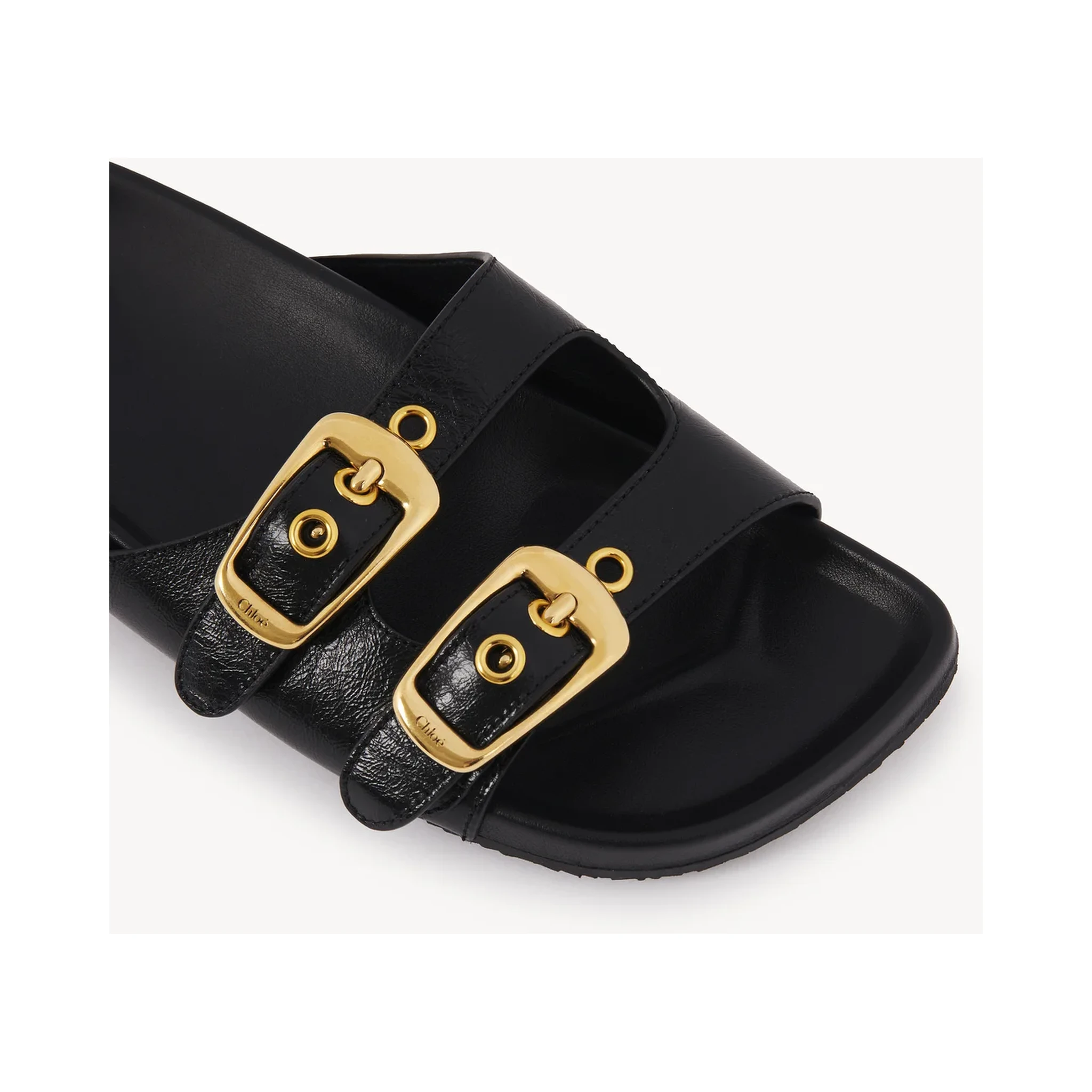 "Polly" slides