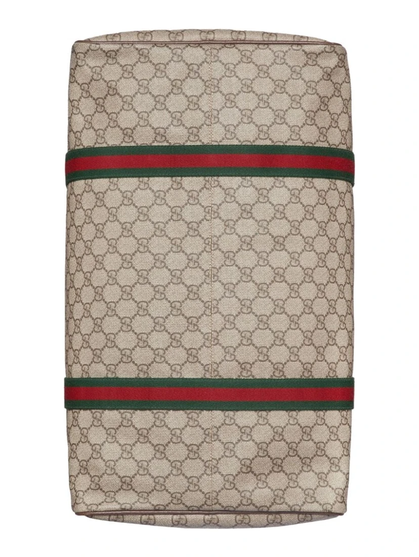 Travel bag with Web detail