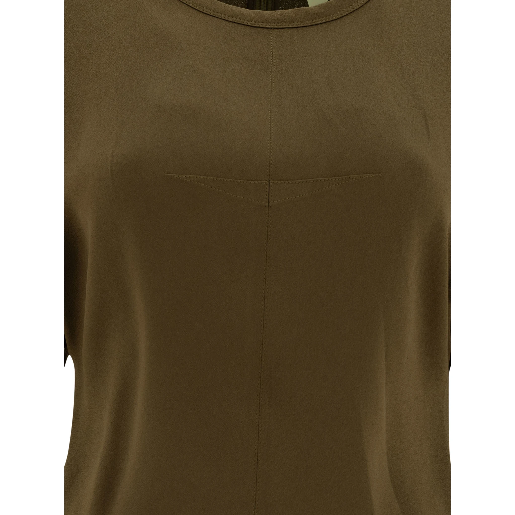 Top with puff sleeves