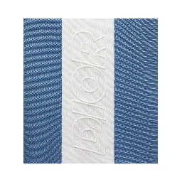 "Dior And Parley" sport shorts