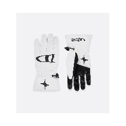 "Dior and Lewis Hamilton" ski gloves