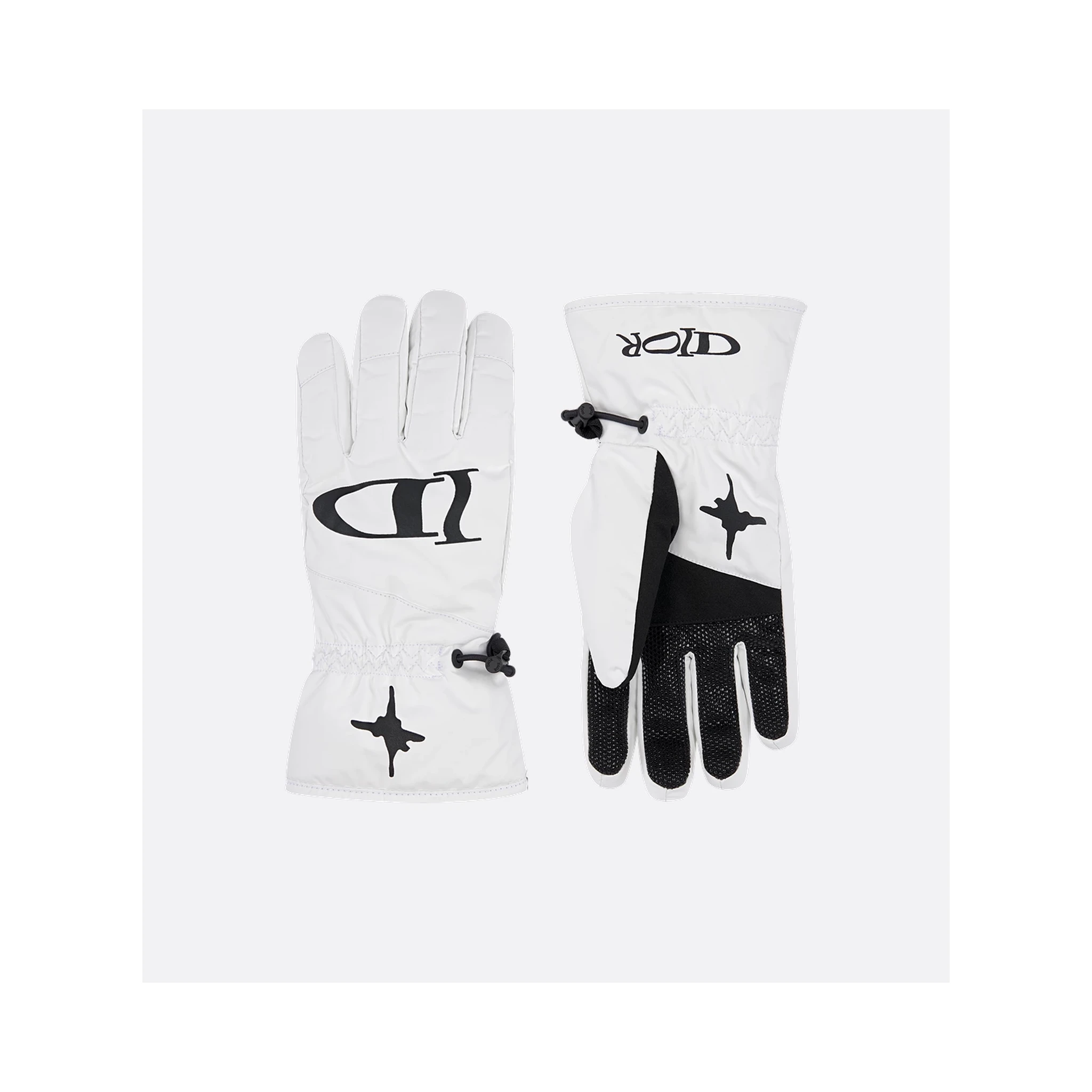 "Dior and Lewis Hamilton" ski gloves
