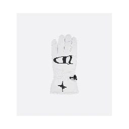 "Dior and Lewis Hamilton" ski gloves
