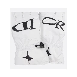"Dior and Lewis Hamilton" ski gloves