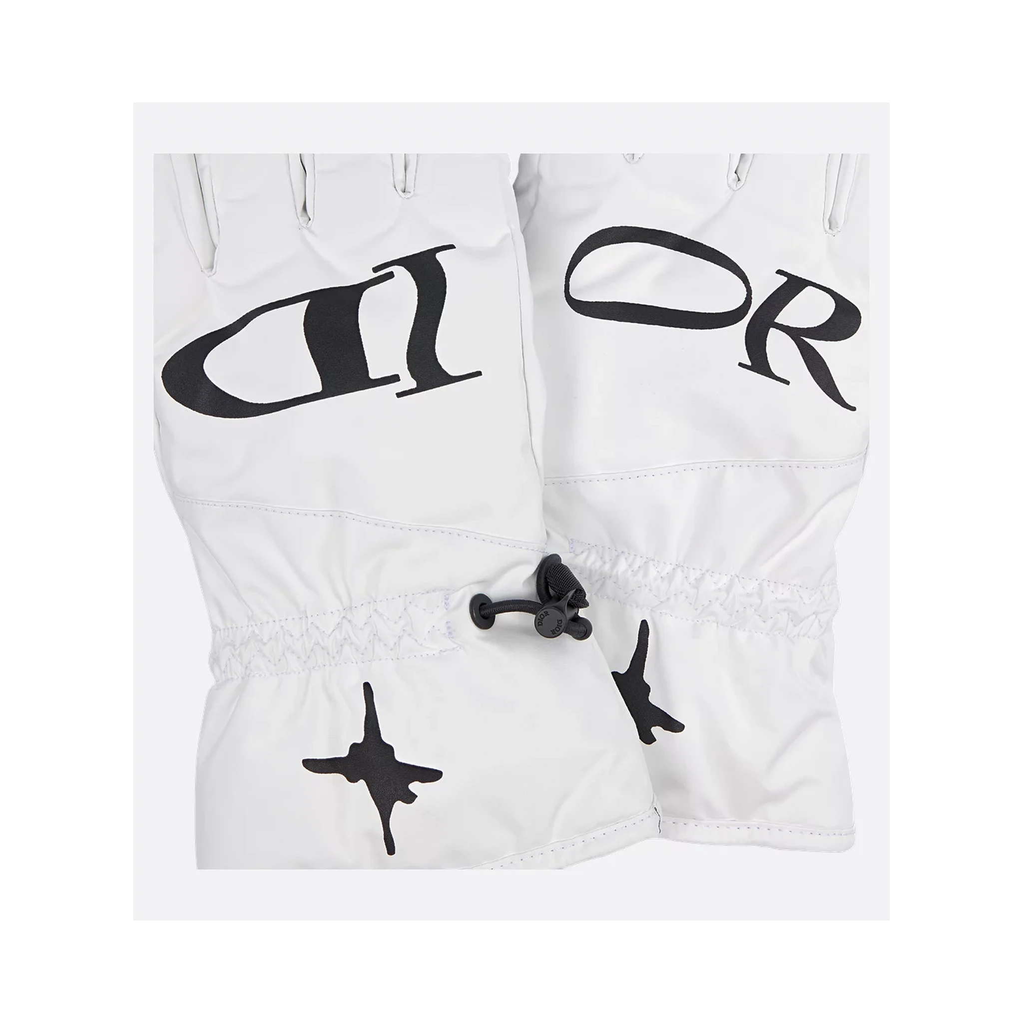 "Dior and Lewis Hamilton" ski gloves