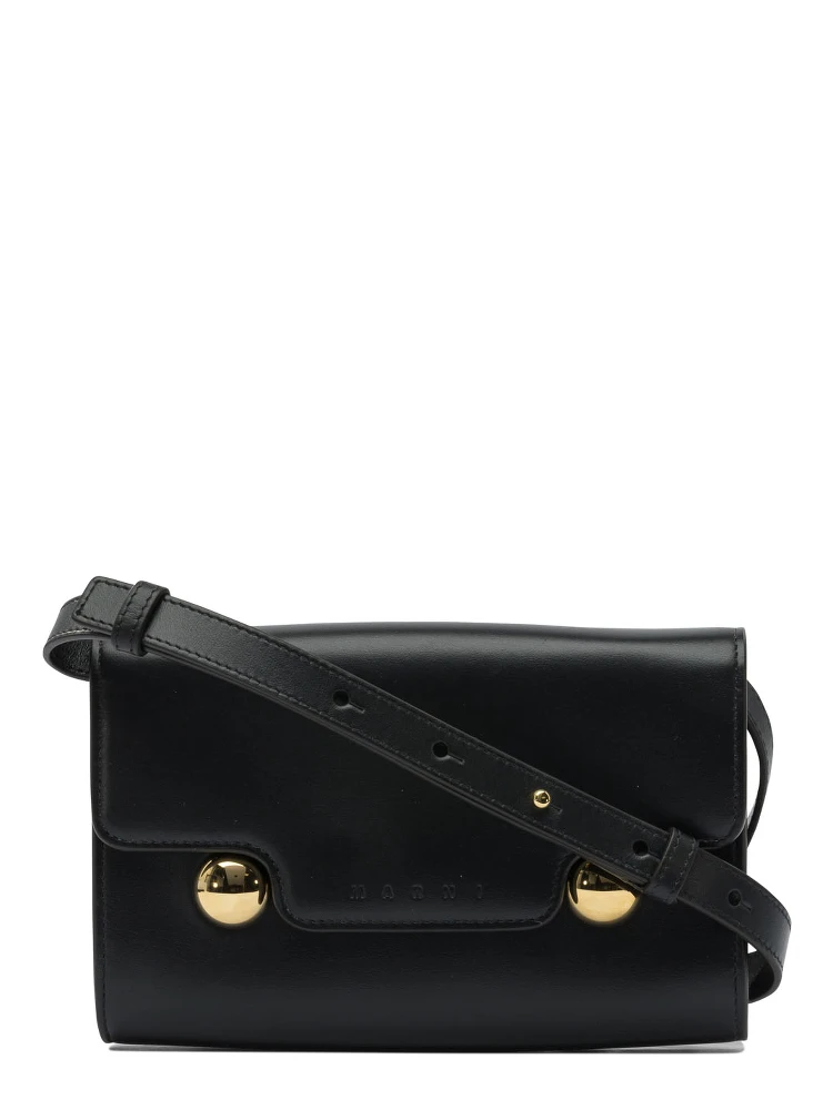 "Trunkaroo" crossbody bag