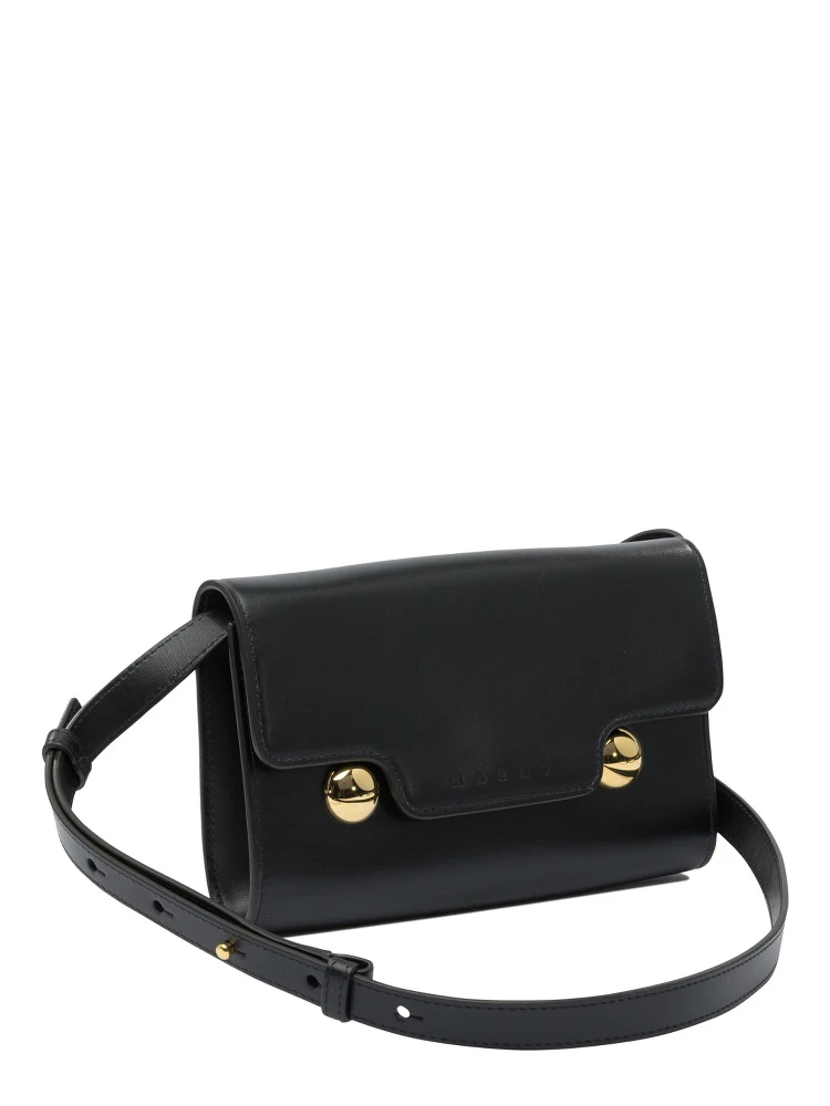 "Trunkaroo" crossbody bag alternative