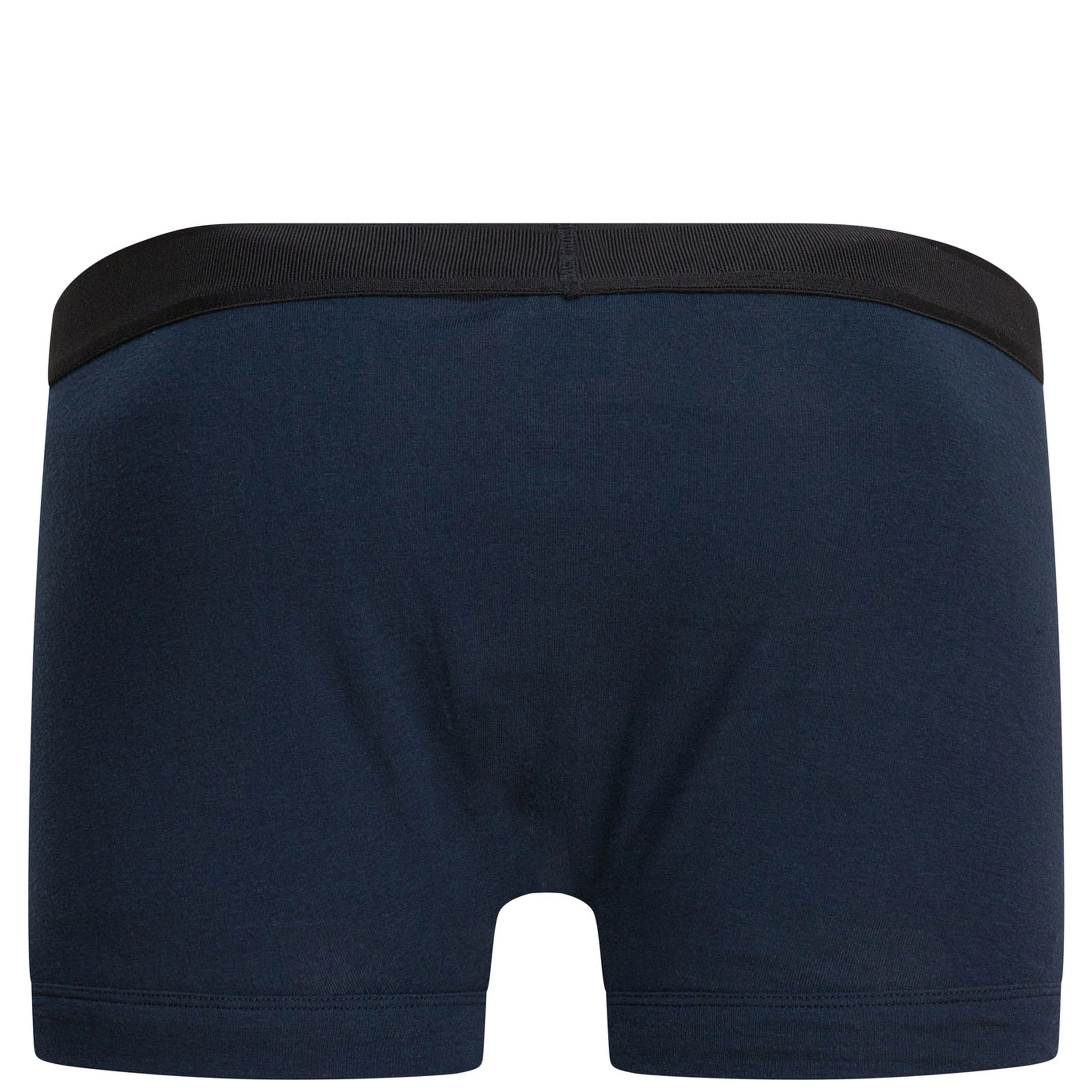 "Brief" Boxer