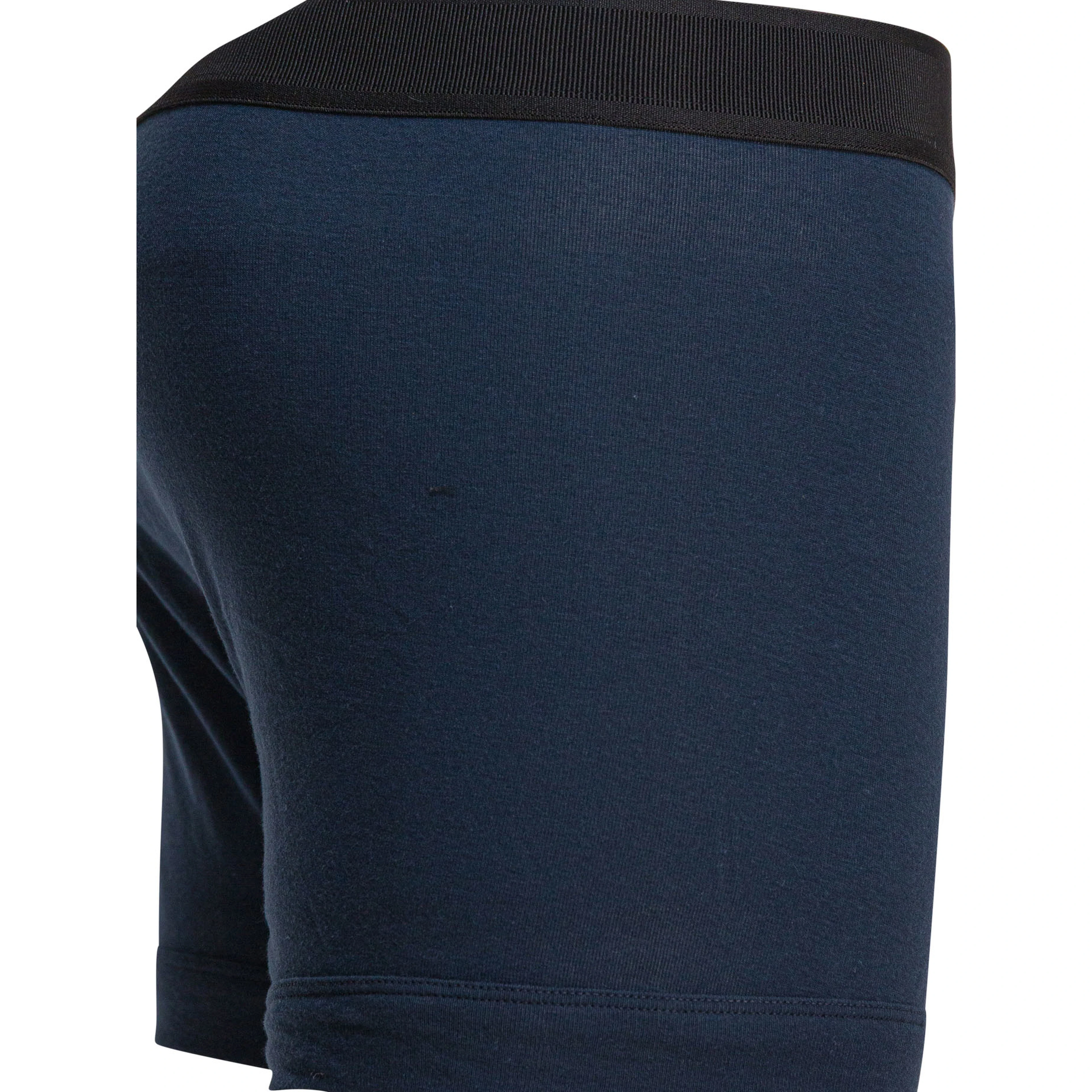 "Brief" Boxer