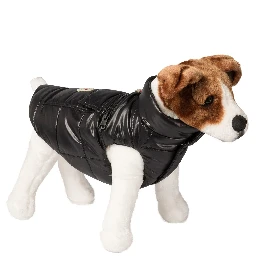 Dog vest