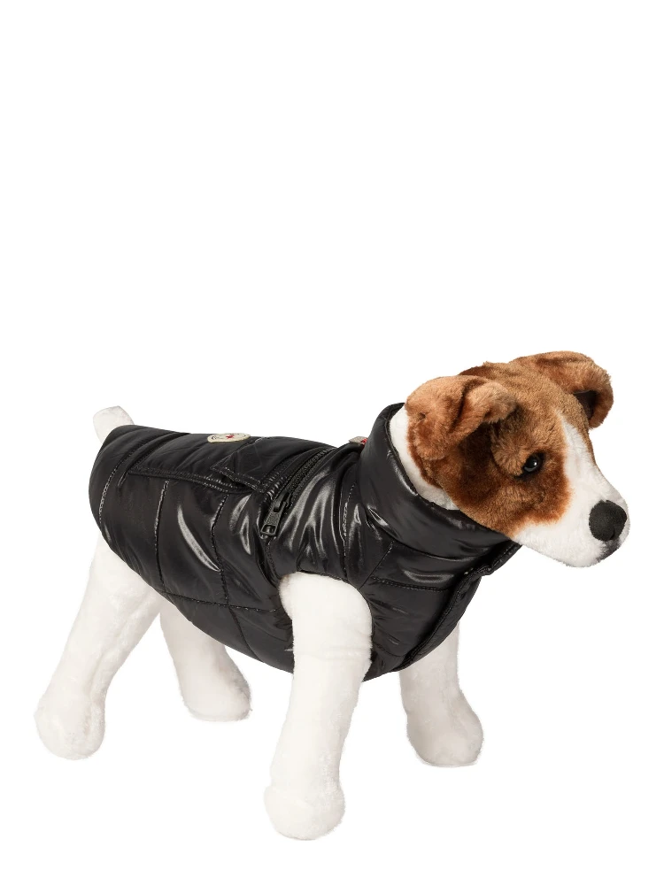 Dog vest