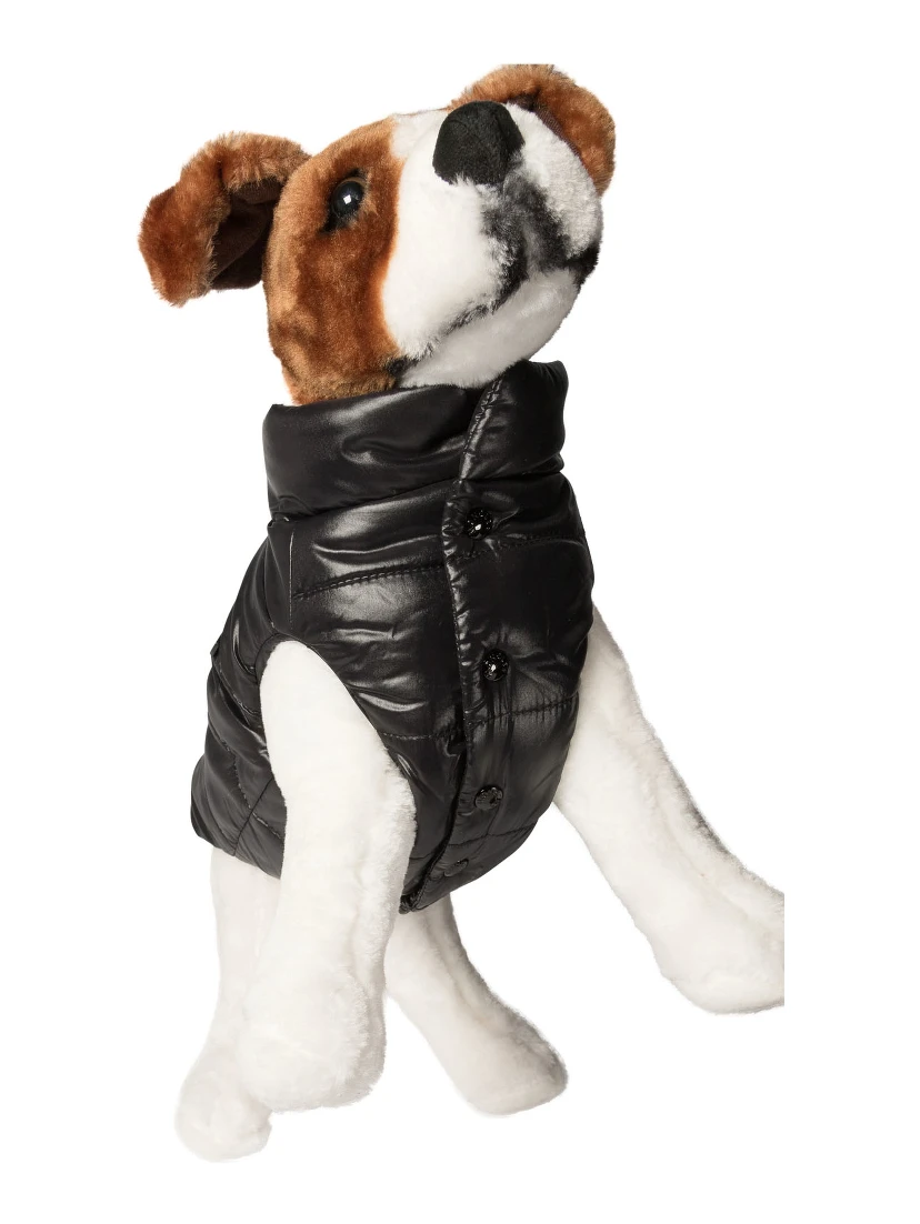 Dog vest