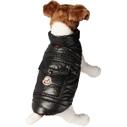 Dog vest