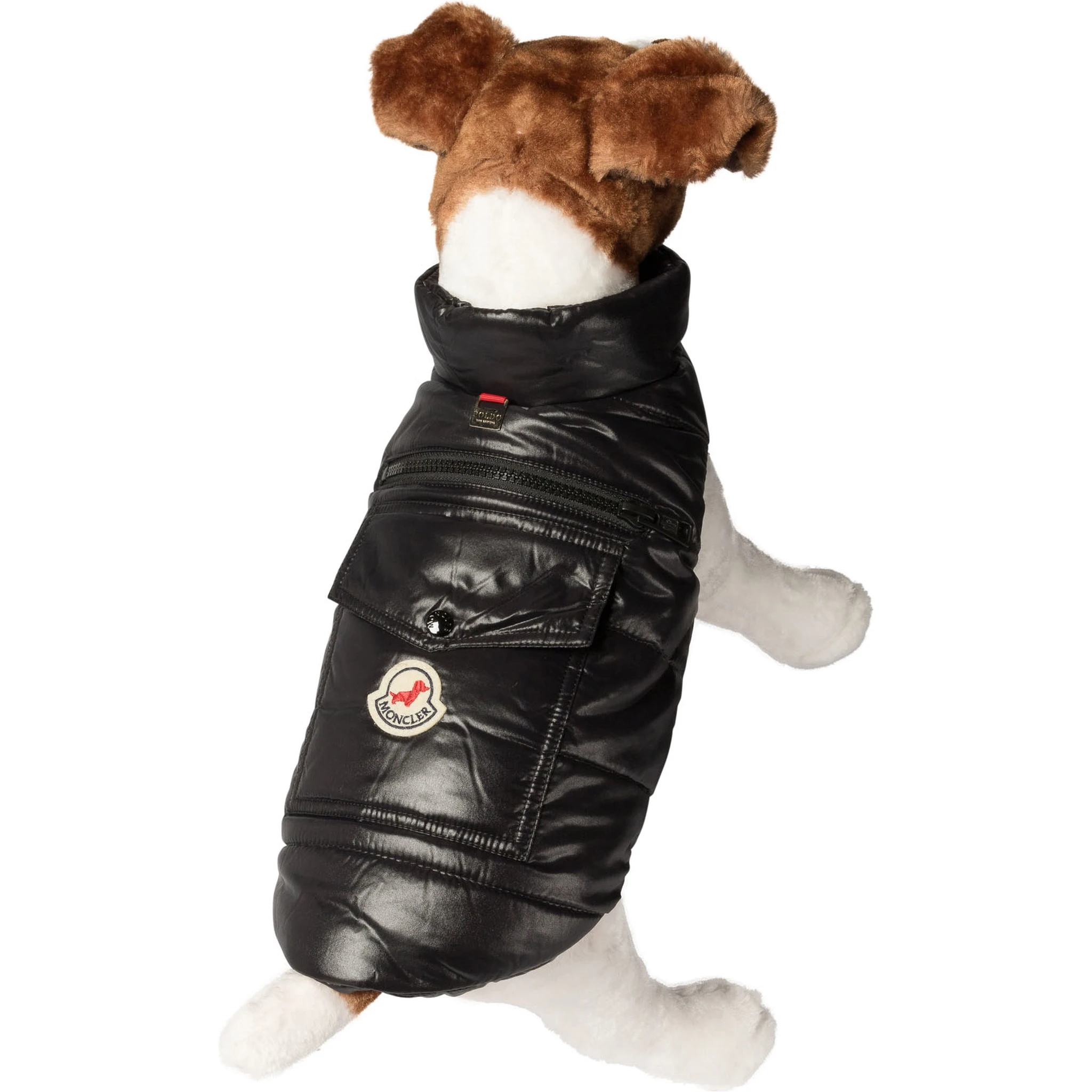 Dog vest