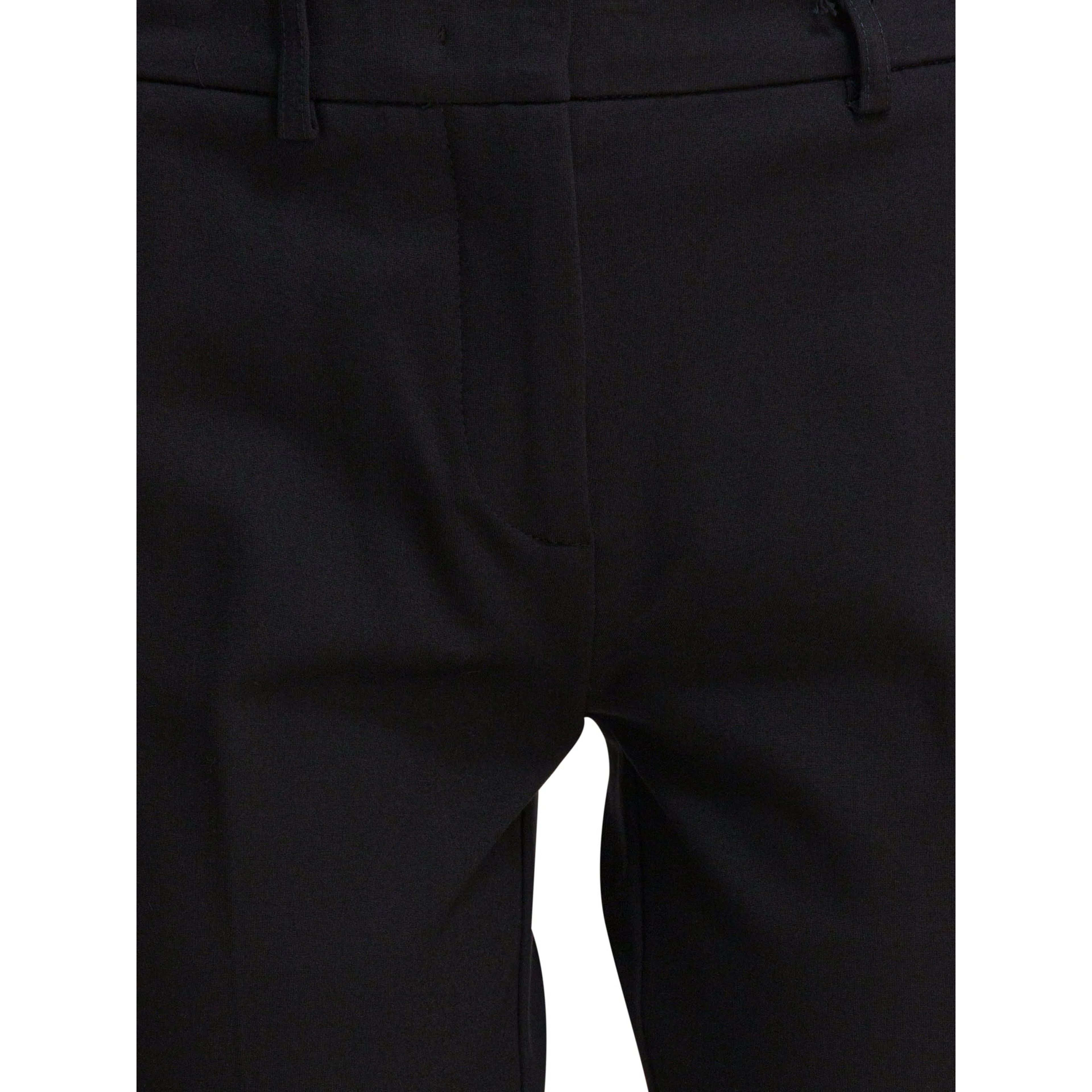 Viscose pants