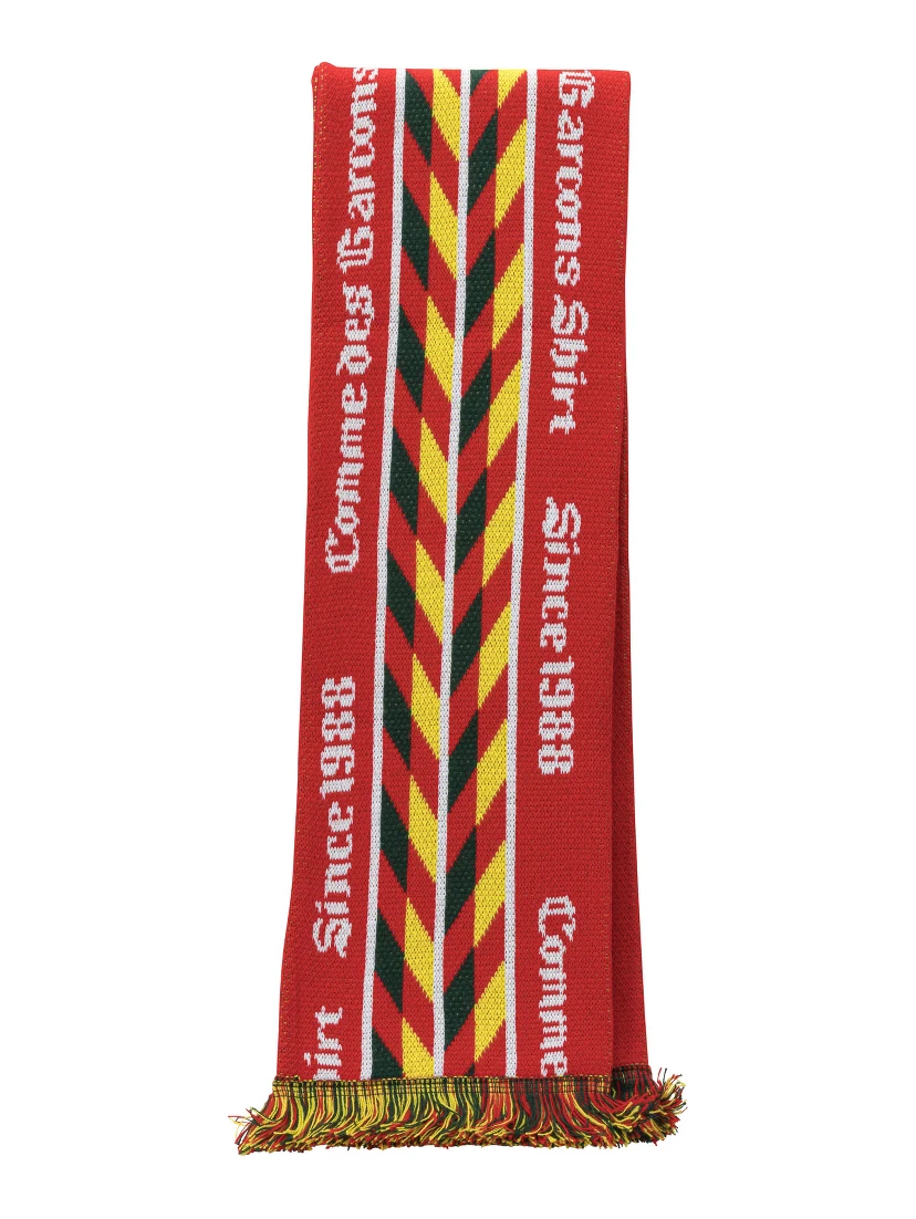 Knitted fringed scarf