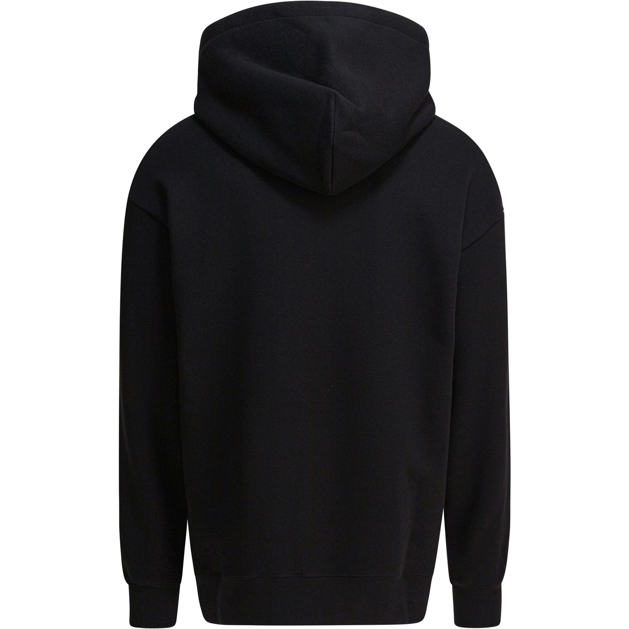 هودي "القط المنزلي"