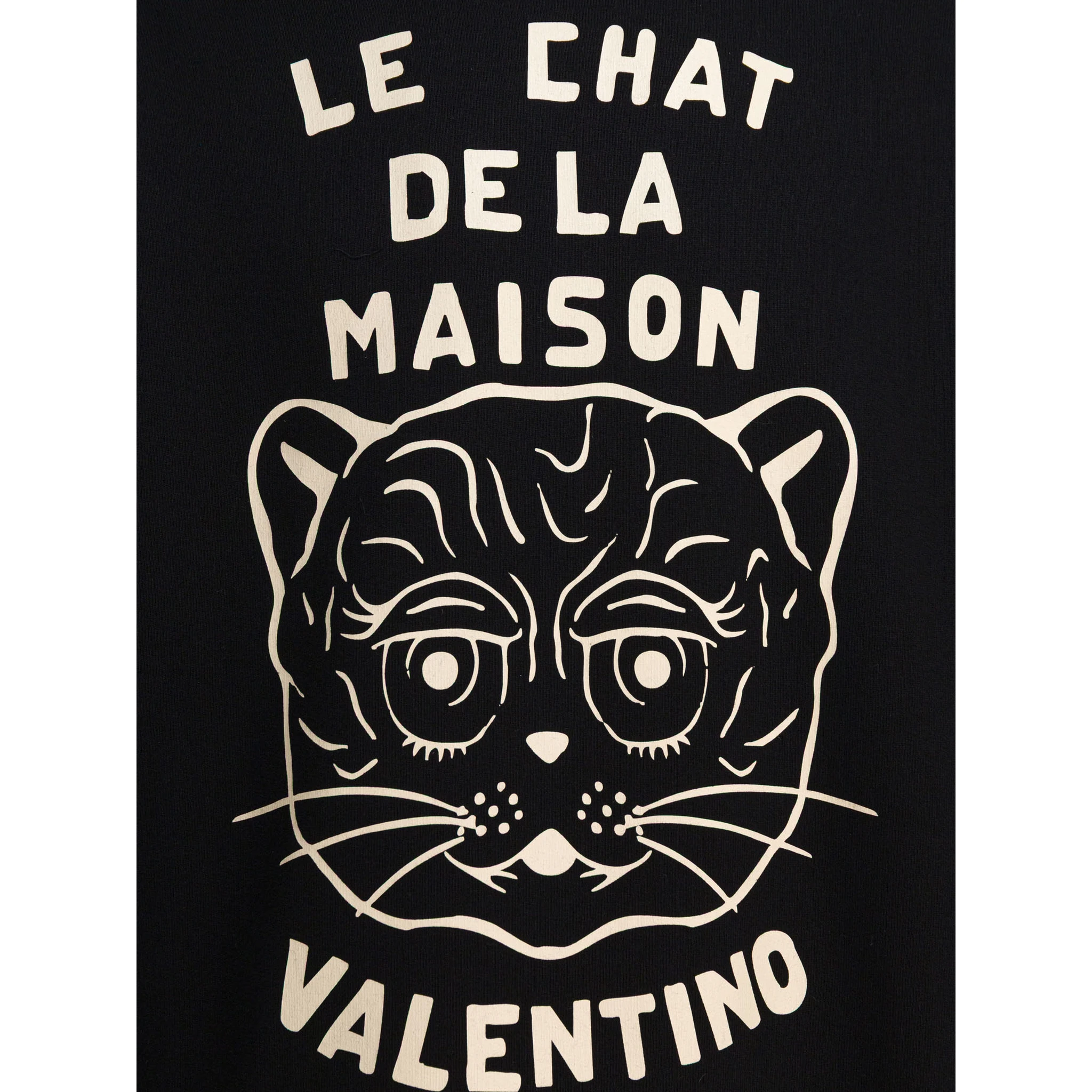 هودي "القط المنزلي"