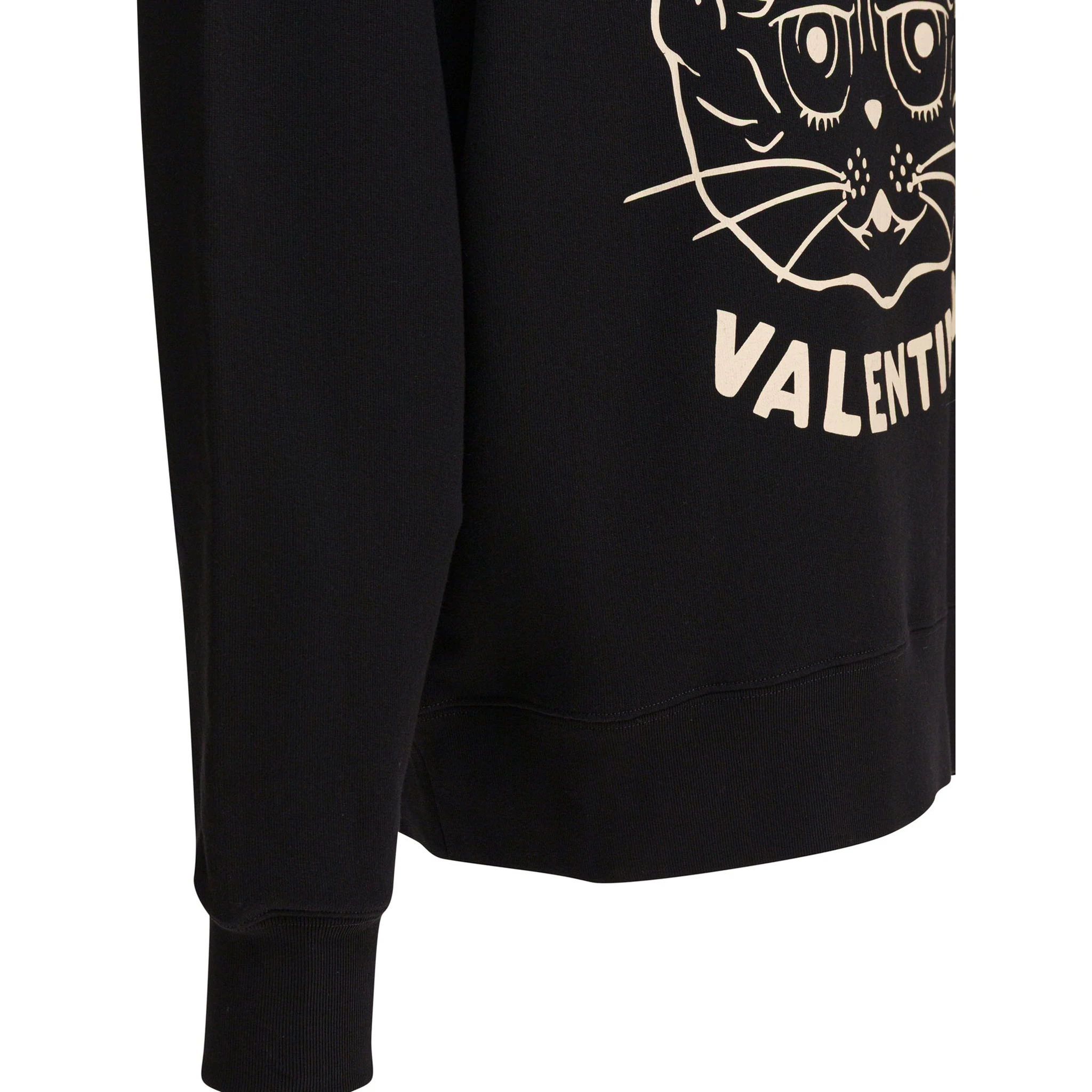 هودي "القط المنزلي"