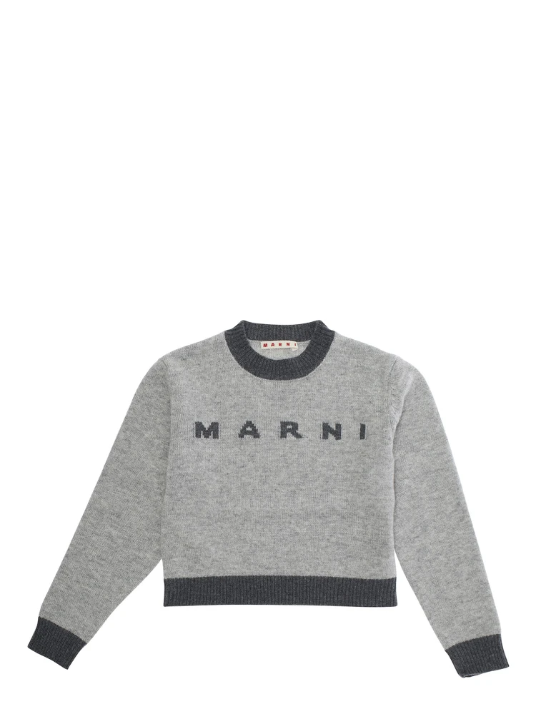 Grey Crewneck Sweater with Logo Lettering on the Front and Contrasting Trims in Wool and Cashmere Girl