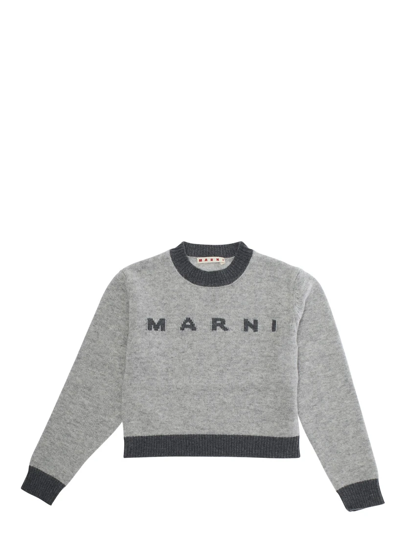 Grey Crewneck Sweater with Logo Lettering on the Front and Contrasting Trims in Wool and Cashmere Girl