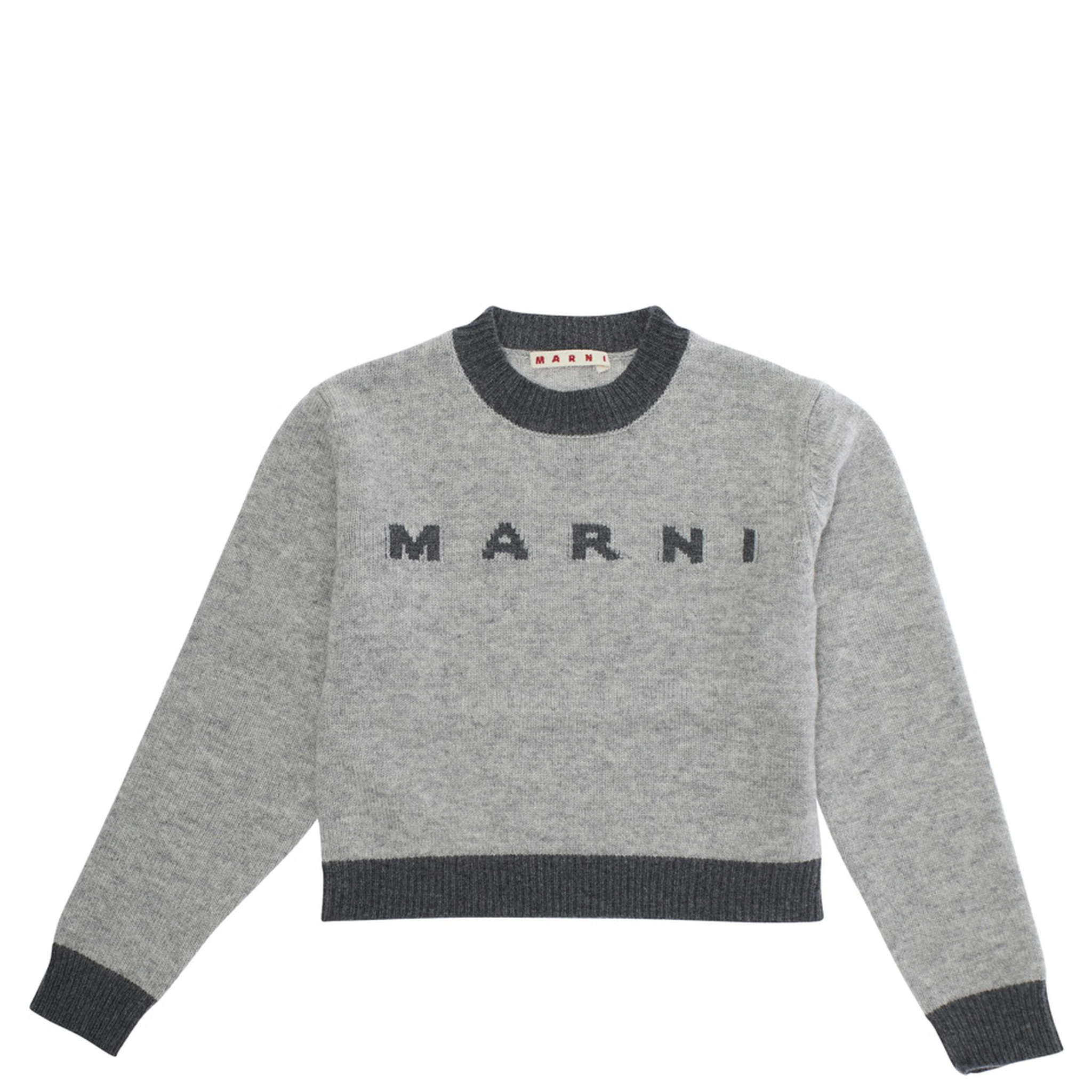 Grey Crewneck Sweater with Logo Lettering on the Front and Contrasting Trims in Wool and Cashmere Girl