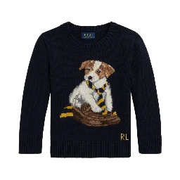 Blue Crew Neck Sweater with Embroidery on the Front in Cotton Boy