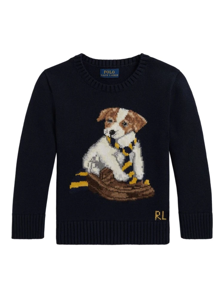 Blue Crew Neck Sweater with Embroidery on the Front in Cotton Boy