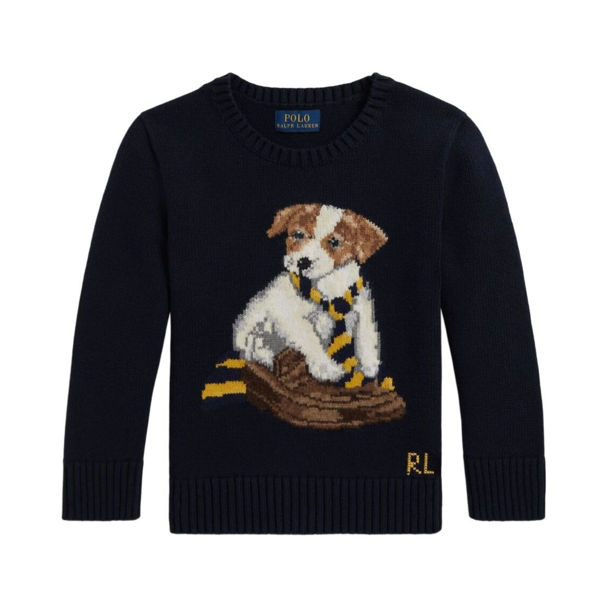 Blue Crew Neck Sweater with Embroidery on the Front in Cotton Boy