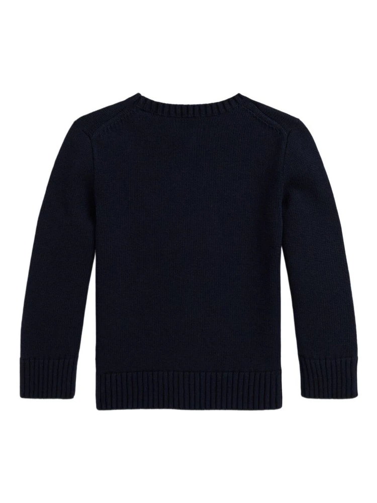 Blue Crew Neck Sweater with Embroidery on the Front in Cotton Boy alternative