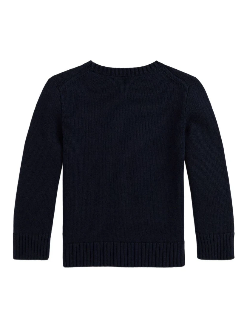 Blue Crew Neck Sweater with Embroidery on the Front in Cotton Boy